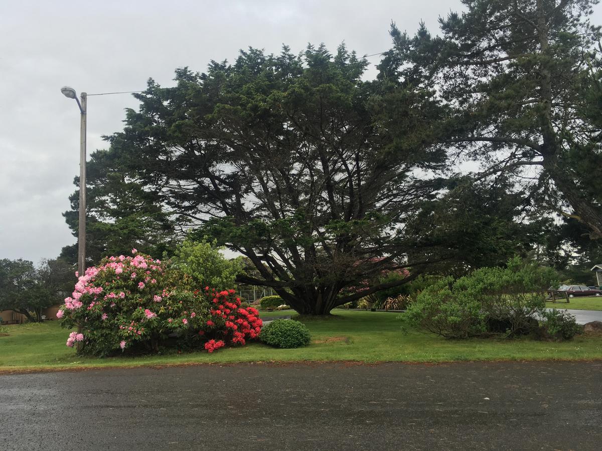 Pine Beach Inn Fort Bragg Extérieur photo